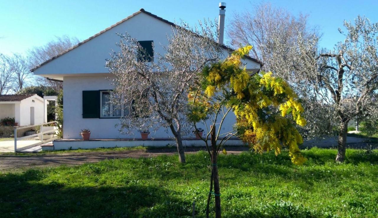 Agriturismo Masseria Mascitelli Orta Nova Dış mekan fotoğraf